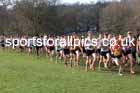 Senior Men, 2024 CAU Inter Counties Cross Country Champs., Wollaton Park, Nottingham. Photo: David T. Hewitson/Sports for All Pics